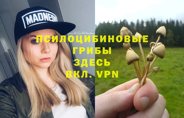 экстази Новодвинск