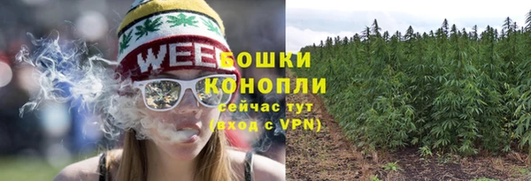 МДМА Новозыбков