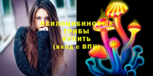 ECSTASY Няндома