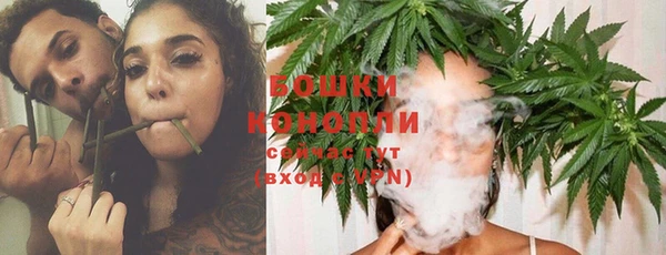 МДМА Новозыбков