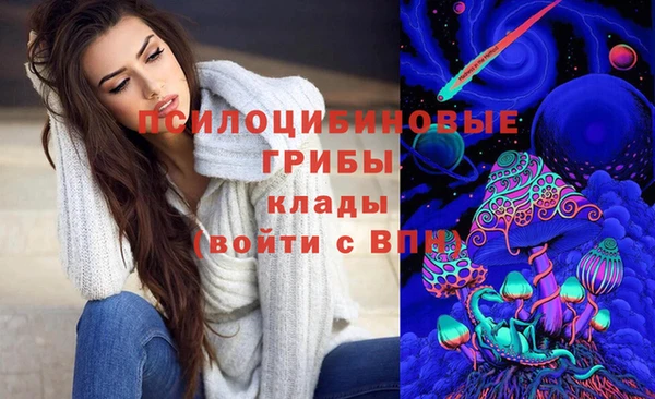 МДМА Новозыбков