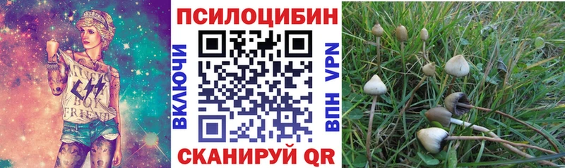 Купить  Ивангород  Галлюциногенные грибы Magic Shrooms 